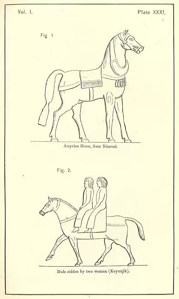 plate031